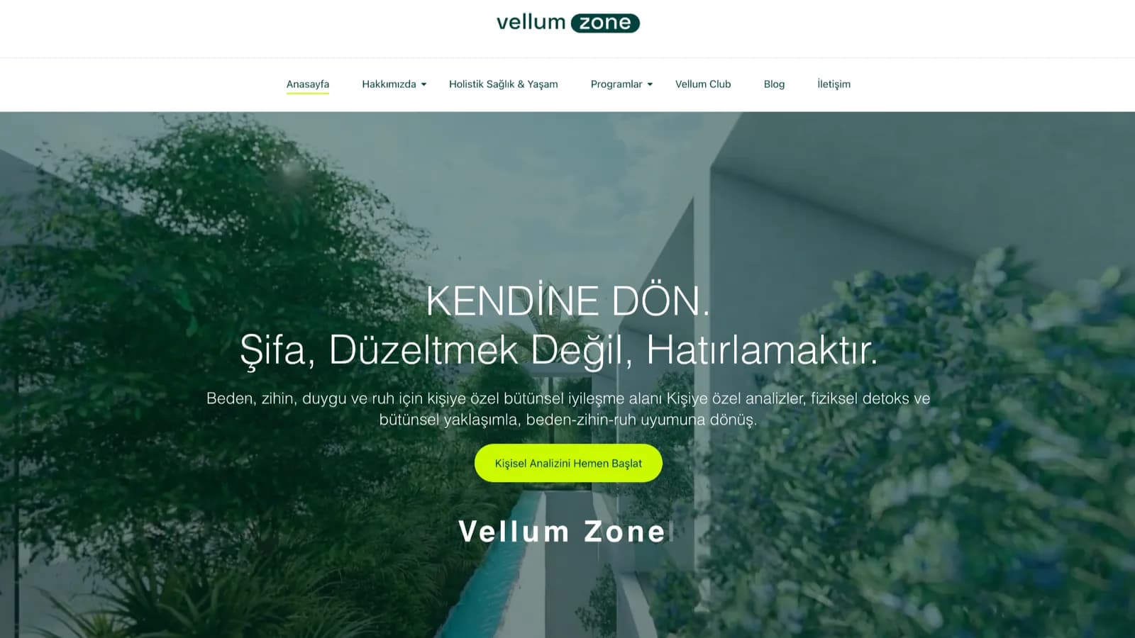Vellum Zone web sitesi ekranı