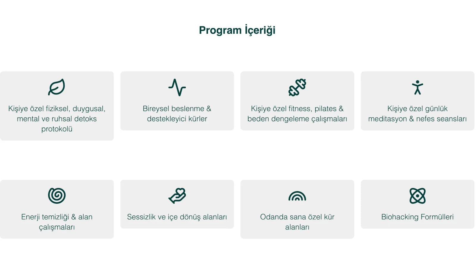 Vellum Zone web sitesi ekranı