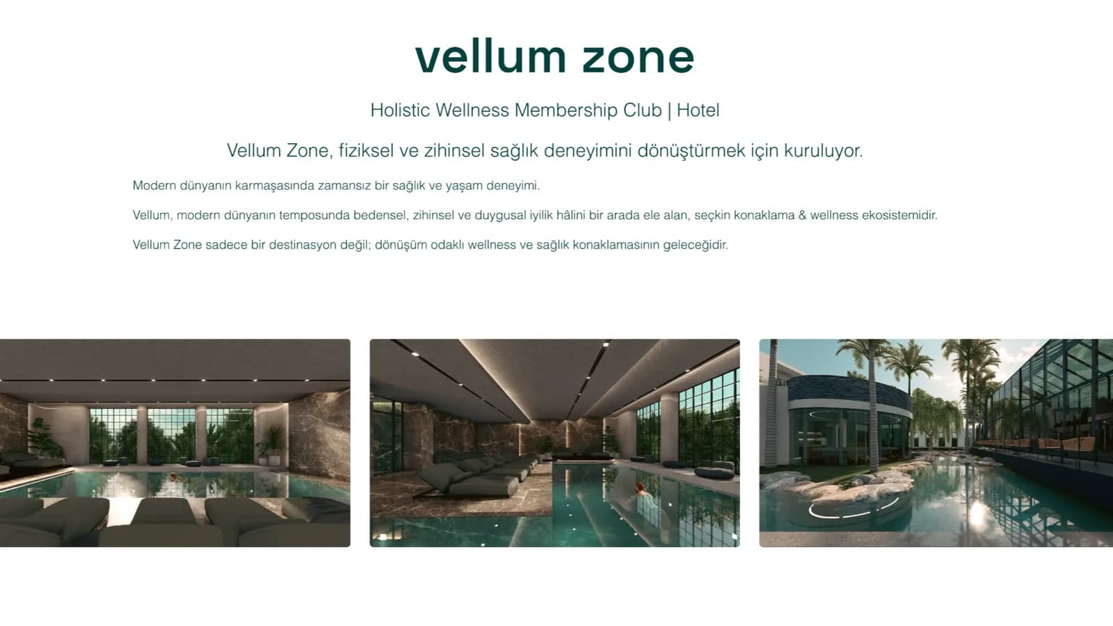 Vellum Zone web sitesi ekranı