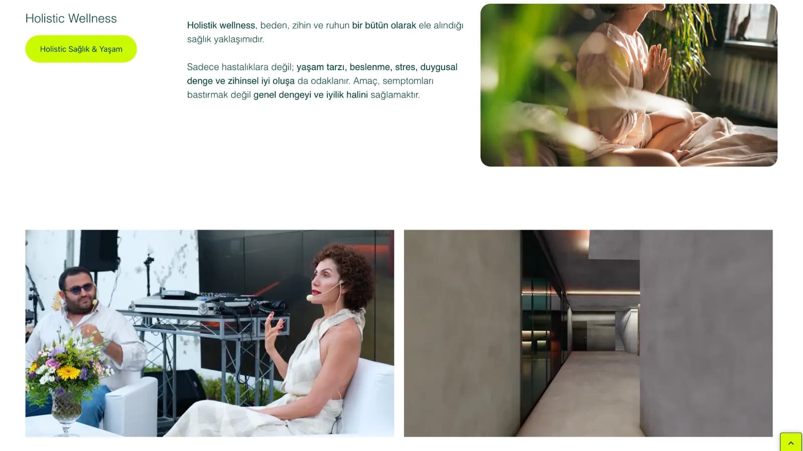 Vellum Zone web sitesi ekranı