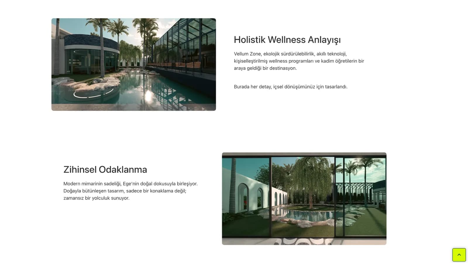 Vellum Zone web sitesi ekranı