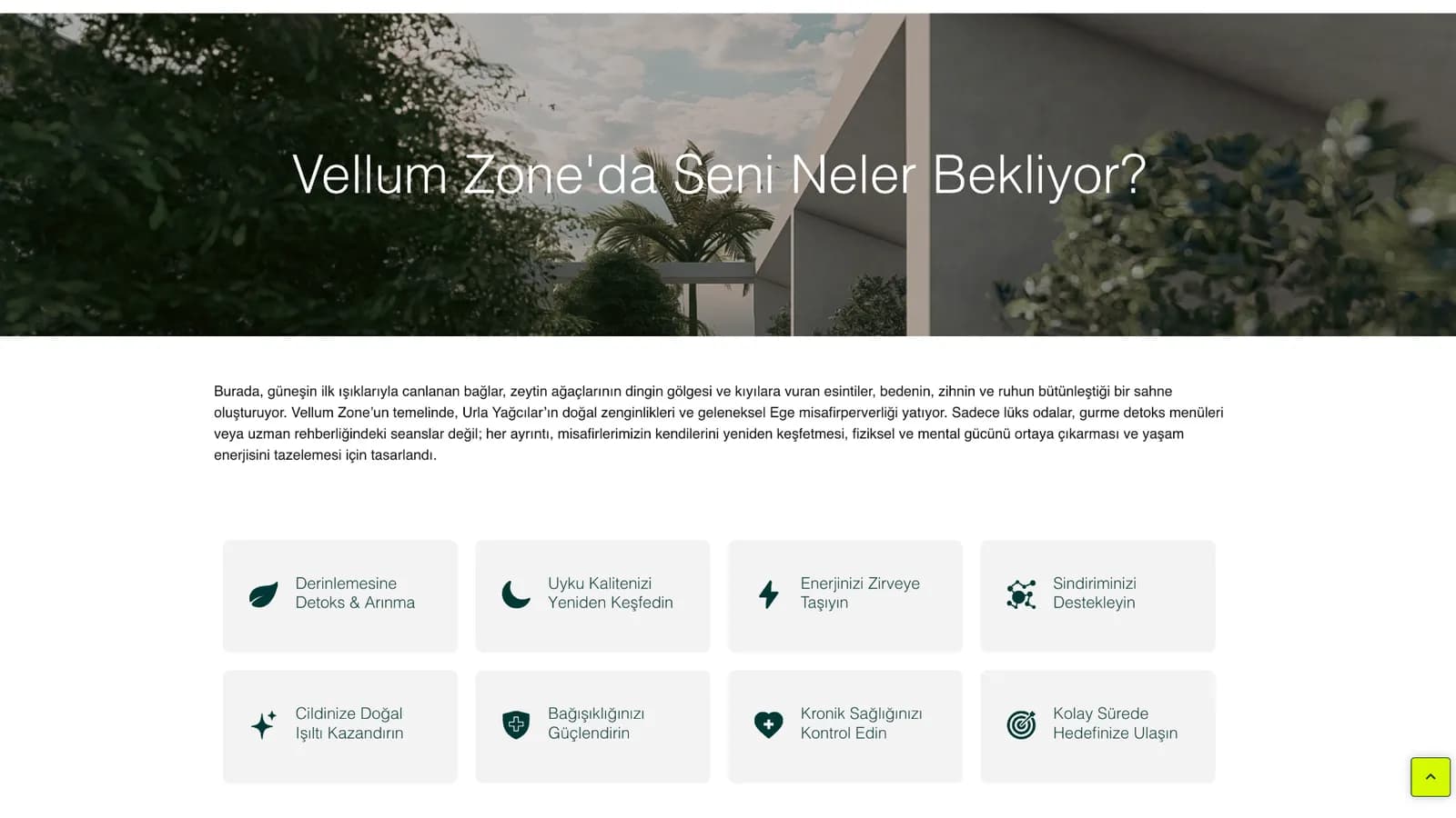 Vellum Zone web sitesi ekranı