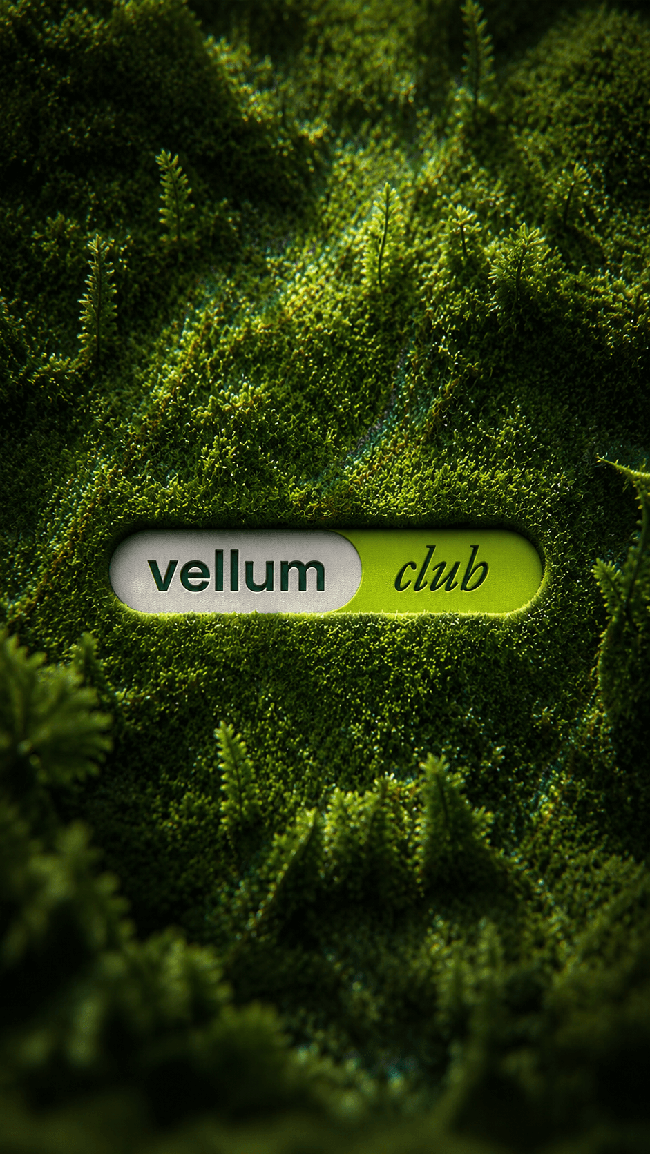 Vellum Club görseli 3