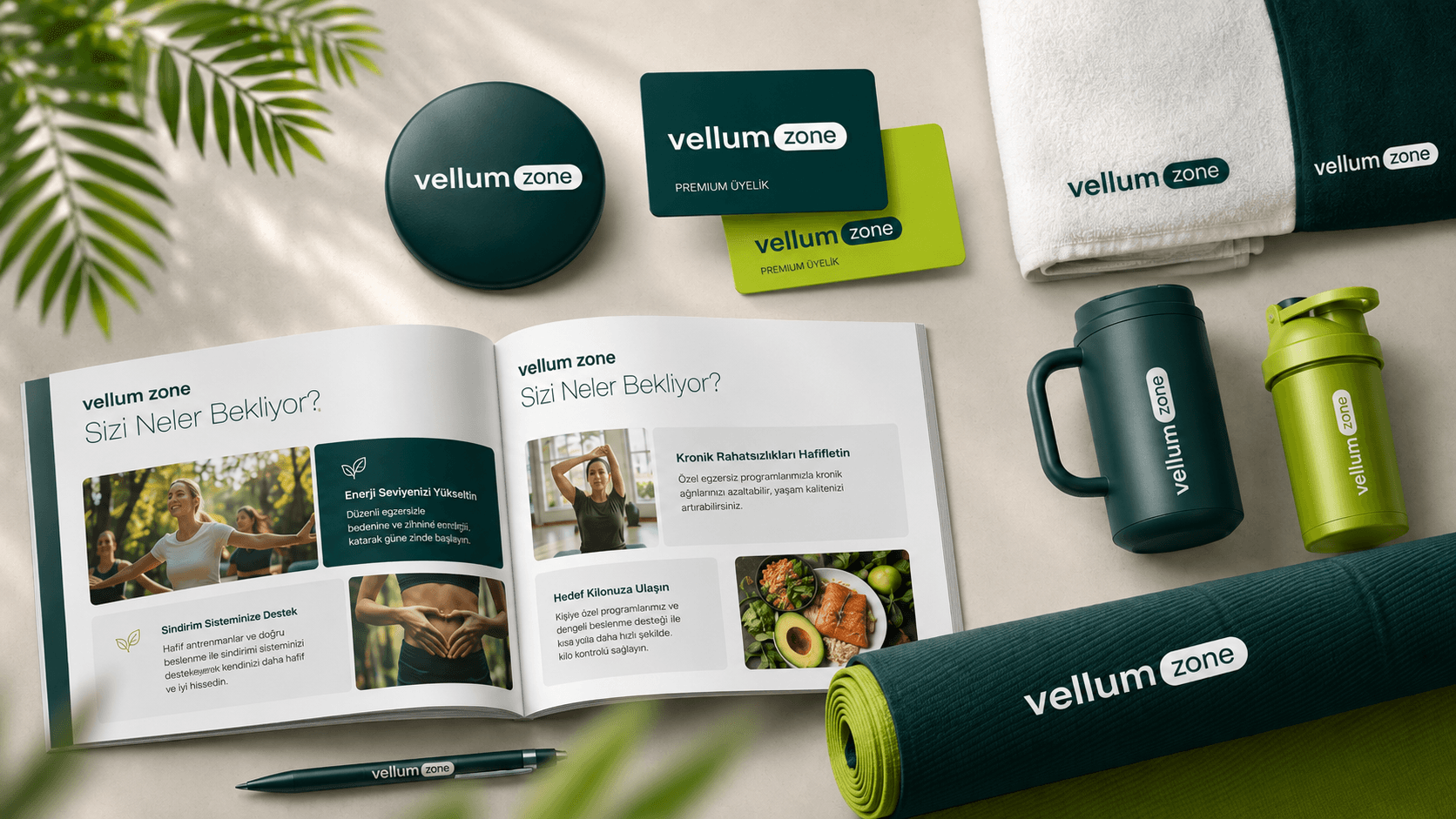 Vellum Zone kurumsal kimlik görseli