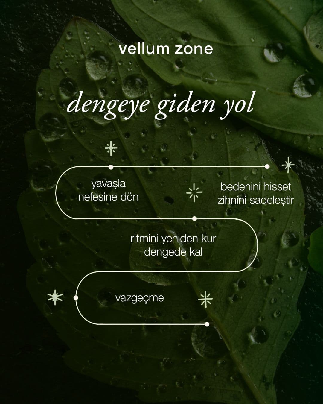 Vellum Zone sosyal medya gönderisi