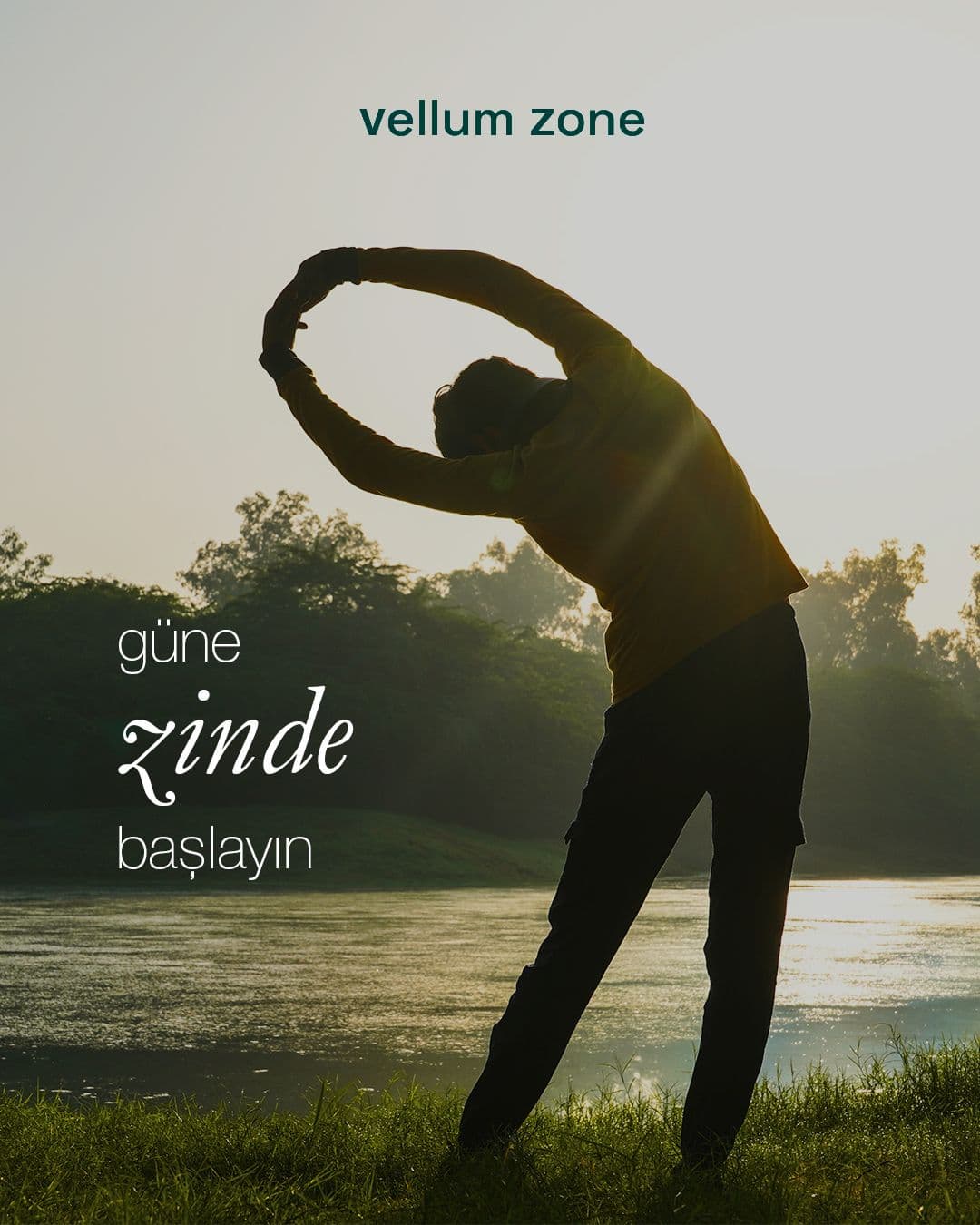 Vellum Zone sosyal medya gönderisi