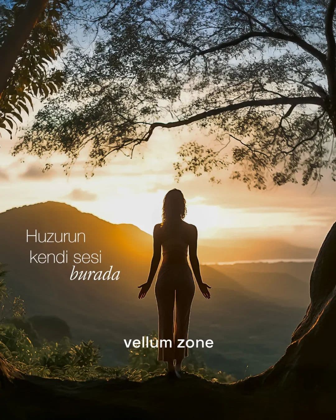 Vellum Zone sosyal medya gönderisi